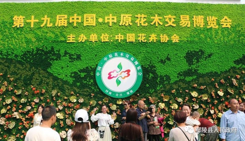 蝴蝶兰协会：引领兰花文化新风尚