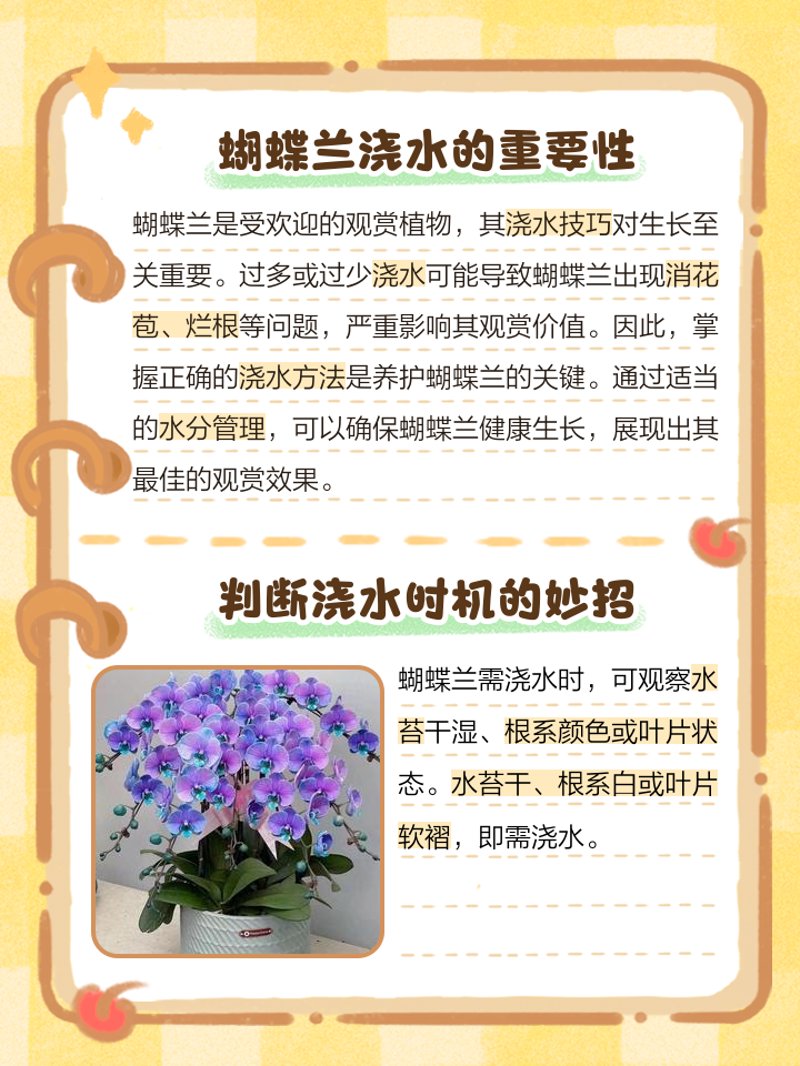 蝴蝶兰种植：绽放美丽的同时领略园艺艺术的魅力